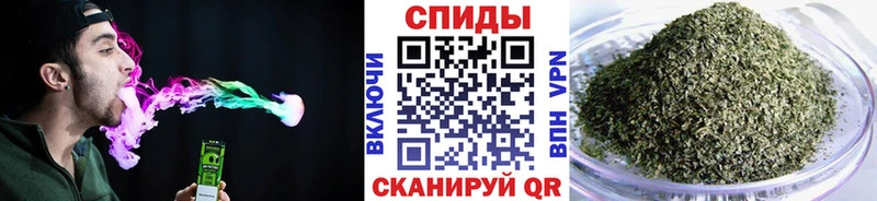 цены   Орлов  Бутират BDO 