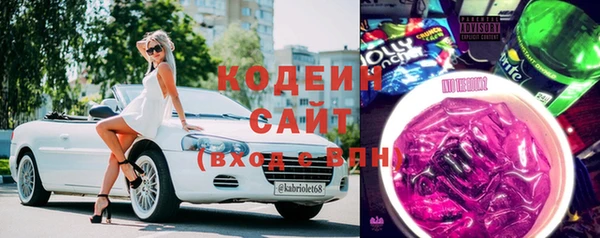 крисы Армянск